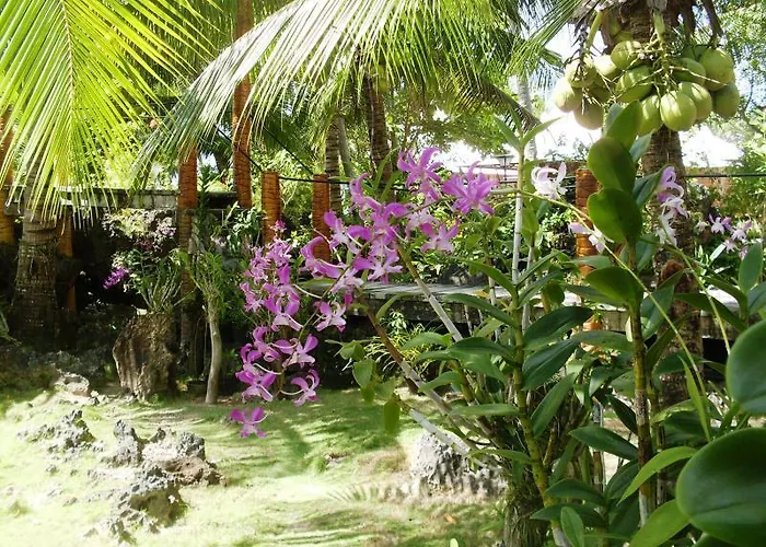 Maia's Maricaban